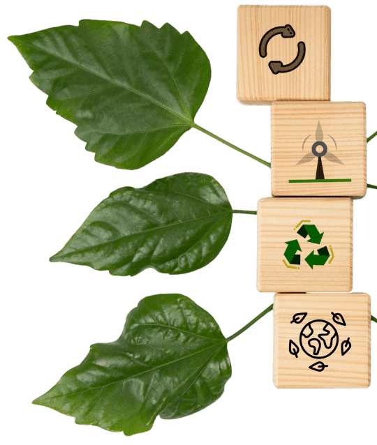 leafs